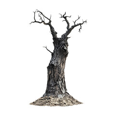Dead Tree Bare Branches Twisted Trunk Isolated on White Background  Perfect for Nature Environmental and Artistic Projects