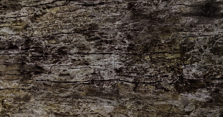 Old wooden floor with a beautiful texture.