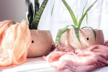 Serene indoor scene featuring two potted plants in textured clay pots, surrounded by soft, draped fabric. natural light enhances peaceful atmosphere, creating calming ambiance