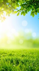 Obraz premium Morning sunshine over lush green grass nature scene outdoor serenity bright and vibrant environment