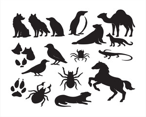 Obraz premium silhouettes of animals