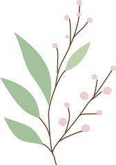 branch of pink cherry blossoms with leaves illustration 