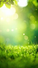 Obraz premium Morning dew glimmering on lush grass nature scene vibrant environment serene viewpoint fresh concept