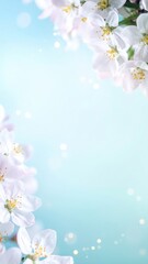 Delicate white blossoms against soft blue background nature photography springtime serenity close-up view