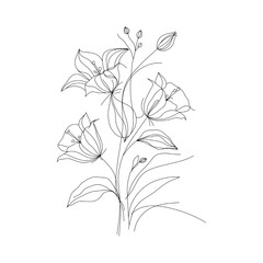 abstract floral background. Sketch of a bellflowers. Minimalist one line drawing of flowers and leaves, elegant floral bouquet in continuous line art style. For prints, tattoos, or design elements. 