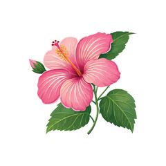 Image is a digital illustration featuring a vibrant pink hibiscus flower with five large petals. The petals are detailed with lighter pink highlights and subtle shading, giving them a three-dimension
