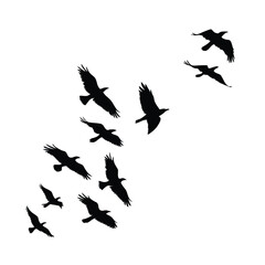 Dynamic Flock of Black Bird Silhouettes in Diagonal Formation - Flying Geese or Crows Vector for Nature and Freedom Themes