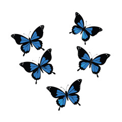 Collection of Five Simple Blue and Black Butterfly Vectors - Stylized Insect Group for Design and Nature Concepts