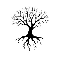 Illustration of acacia tree 