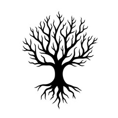 Illustration of acacia tree 