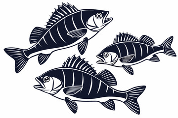 Black Perch Collection