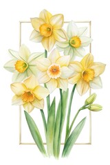 Fototapeta premium Elegant Watercolor Daffodil Bouquet with Gold Frame on White Background