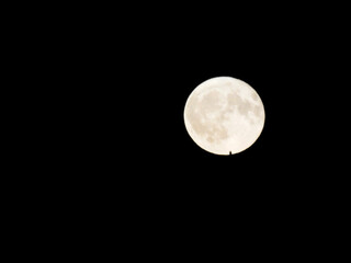 Der Vollmond am Himmel 