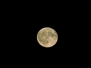 Der Vollmond am Himmel 