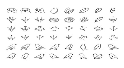 Fototapeta premium A collection of bird related sketches including birds, eggs, feathers, and bird foot prints in black and white
