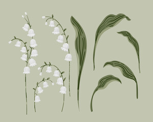 Lily Of the Valley Flower and herb set. Hand painted botanical May Birth Month Flower collection