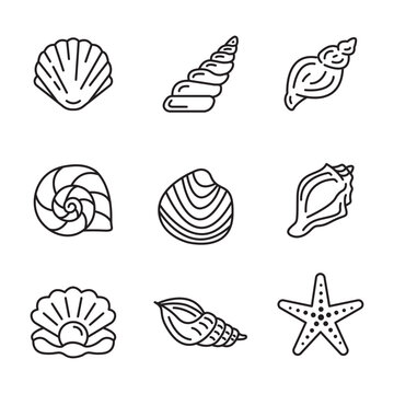 Set of editable line art shell themed icons