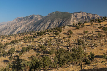 Mountains near Dore village, Kurdistan Region of Iraq