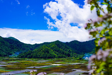 A view of the green landscape of the Rinjani volcano in summer. Farmland view from Selong Hill, Sembalun, Lombok, West Nusa Tenggara, Indonesia.