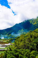 A view of the green landscape of the Rinjani volcano in summer. Farmland view from Selong Hill, Sembalun, Lombok, West Nusa Tenggara, Indonesia.