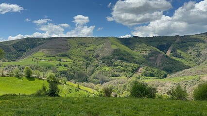 A grassy hillside with trees and hills