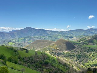 A valley with mountains and trees