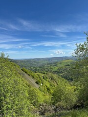 A landscape with trees and hills