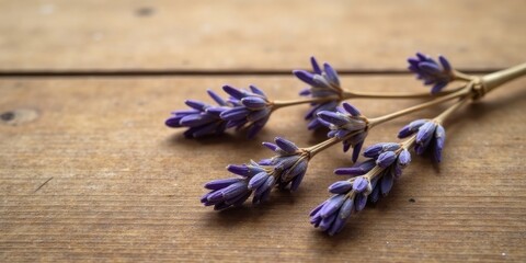 Naklejka premium A sprig of dried lavender rests gently on a rustic wooden surface, showcasing its delicate purple blossoms and the natural texture of the wood