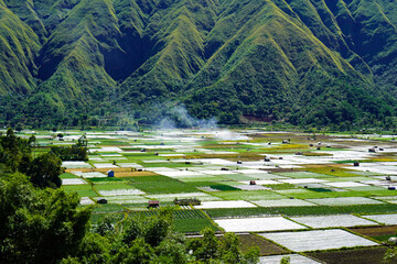 A view of the green landscape of the Rinjani volcano in summer. Farmland view from Selong Hill, Sembalun, Lombok, West Nusa Tenggara, Indonesia.