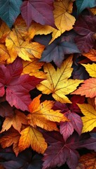 Fototapeta premium Vibrant autumnal tapestry of fallen maple leaves creating a colorful mosaic on the forest floor