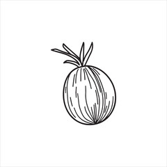 Coconut Fruit Hand Drawn Outline Illustration,Minimalist Coconut Line Art Vector,Coconut Sketch Isolated on White Background,Simple Coconut Drawing for Logo Design,Tropical Coconut Vector in Line