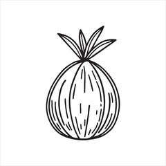 Coconut Fruit Hand Drawn Outline Illustration,Minimalist Coconut Line Art Vector,Coconut Sketch Isolated on White Background,Simple Coconut Drawing for Logo Design,Tropical Coconut Vector in Line