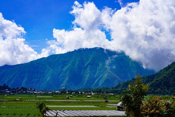 A view of the green landscape of the Rinjani volcano in summer. Farmland view from Selong Hill, Sembalun, Lombok, West Nusa Tenggara, Indonesia.