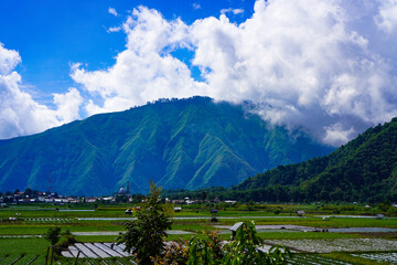 A view of the green landscape of the Rinjani volcano in summer. Farmland view from Selong Hill, Sembalun, Lombok, West Nusa Tenggara, Indonesia.