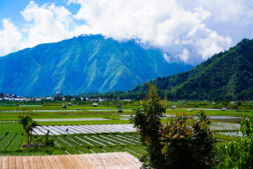 A view of the green landscape of the Rinjani volcano in summer. Farmland view from Selong Hill, Sembalun, Lombok, West Nusa Tenggara, Indonesia.
