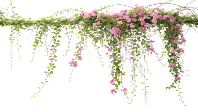 Cascading Creeper with Tiny Pink Flowers and Green Vines