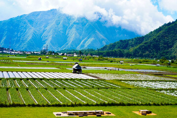 A view of the green landscape of the Rinjani volcano in summer. Farmland view from Selong Hill, Sembalun, Lombok, West Nusa Tenggara, Indonesia.