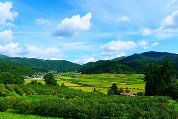 Obraz premium 初秋の山里。遠野、岩手、日本。9月上旬。
