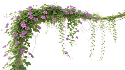 Cascading Creeper with Small Purple Flowers and Green Vines (Arch)