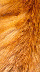 Fototapeta premium Captivating Textures of Golden Fur in Natural Sunlight Showcasing Shades of Orange and Yellow