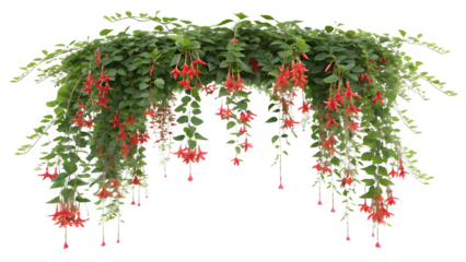 Vibrant Cascading Fuchsia Flowers and Green Leaves Arch
