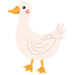 Illustration of duck animal