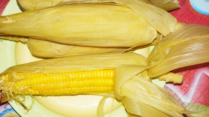 Boiled sweet corn that is cooked and yellow in color, on a plate