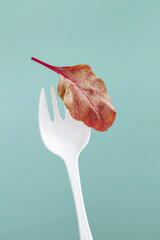 a small leaf of lettuce on a large white fork