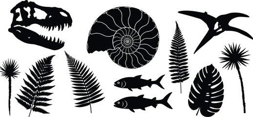 Dinosaur skull silhouette, ammonite fossil, ancient fish, prehistoric plants, and flying reptile vector illustration for science, nature, and history design © Legend Monir