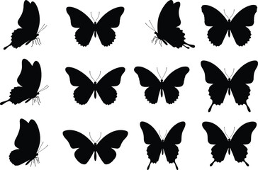 Set of twelve black butterfly silhouette illustrations, perfect for insect vector design, nature decoration, wildlife icon, and artistic patterns