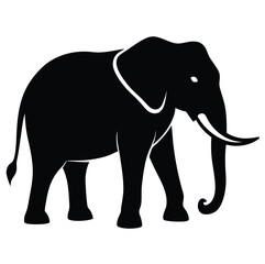 Obraz premium Adobe Illustrator Artwork