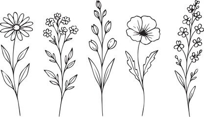 Botanical Line Art Collection Elegant Floral Outlines for Creative Design Projects and Decor