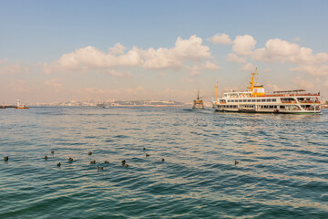 Ducks and ferries at Bosporus strait in Istanbul, Turkey