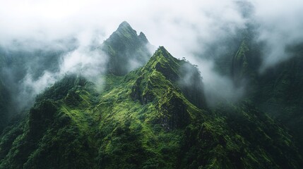 Misty green mountain peaks rise sharply through dense fog, showcasing lush vegetation and rugged terrain in a serene, atmospheric landscape.